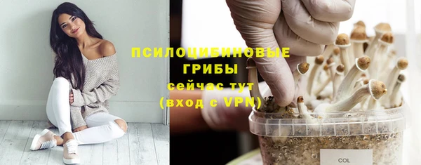 мяу мяу мука Беломорск