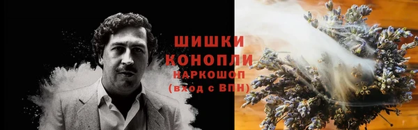гидра Белокуриха