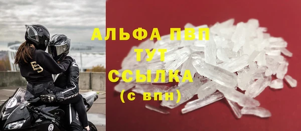 гидра Белокуриха