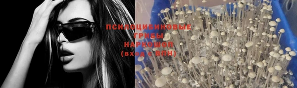 гидра Белокуриха