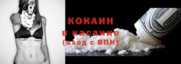 гидра Белокуриха