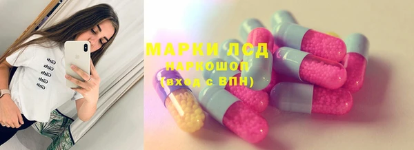 гидра Белокуриха