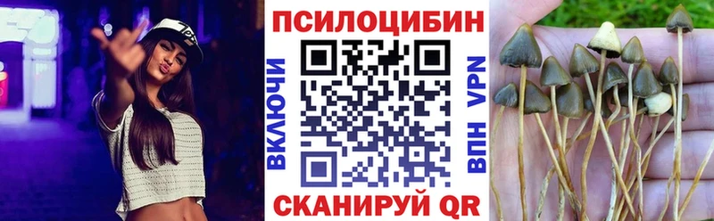 где можно купить наркотик  Кущёвская  Галлюциногенные грибы Psilocybine cubensis 